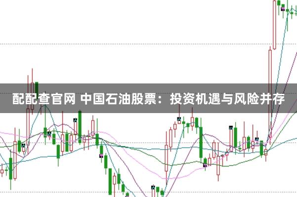 配配查官网 中国石油股票：投资机遇与风险并存