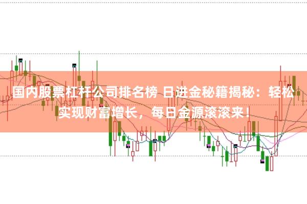 国内股票杠杆公司排名榜 日进金秘籍揭秘：轻松实现财富增长，每日金源滚滚来！