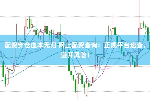 配资穿仓血本无归 网上配资查询：正规平台速查，避开风险！