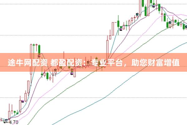 途牛网配资 都盈配资：专业平台，助您财富增值