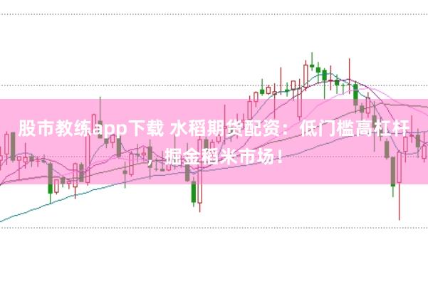 股市教练app下载 水稻期货配资：低门槛高杠杆，掘金稻米市场！