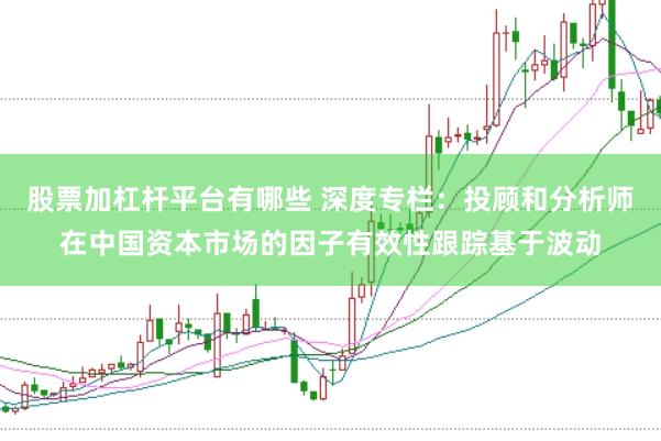 股票加杠杆平台有哪些 深度专栏：投顾和分析师在中国资本市场的因子有效性跟踪基于波动