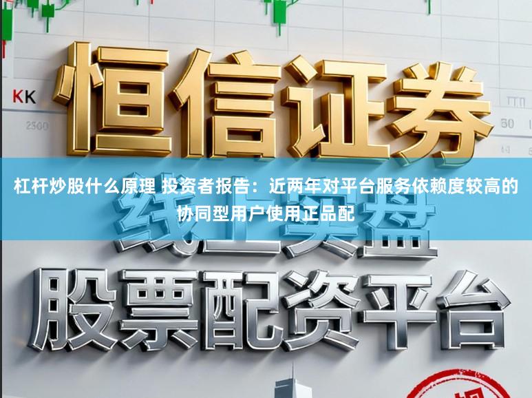 杠杆炒股什么原理 投资者报告：近两年对平台服务依赖度较高的协同型用户使用正品配